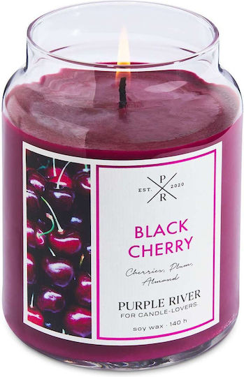 Purple River Aromatische Soja Kirsche in Gefäß Schwarz Purple River Aromatische Soja Kirsche in Gefäß Schwarz