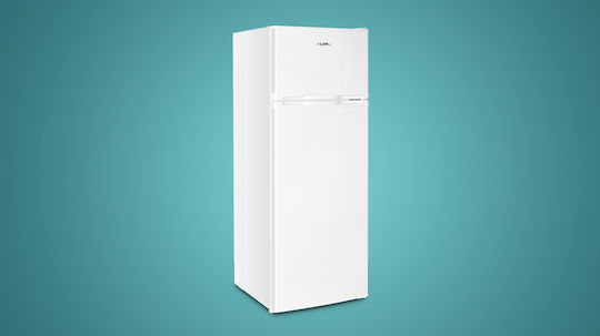 Nobu Ψυγείο Δίπορτο 206lt Υ143xΠ56xΒ54.5εκ. Λευκό NBD143WE