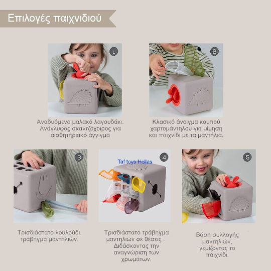 Taf Toys Sensorisch Pop Up Tissue Box für 12+ Monate