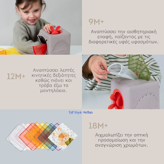 Taf Toys Sensorisch Pop Up Tissue Box für 12+ Monate
