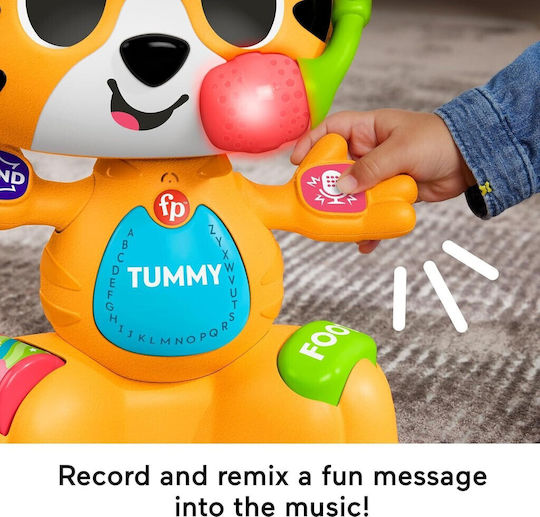 Fisher Price Animal Link Squad Tiger the Singer with Music and Sounds for 9++ Months