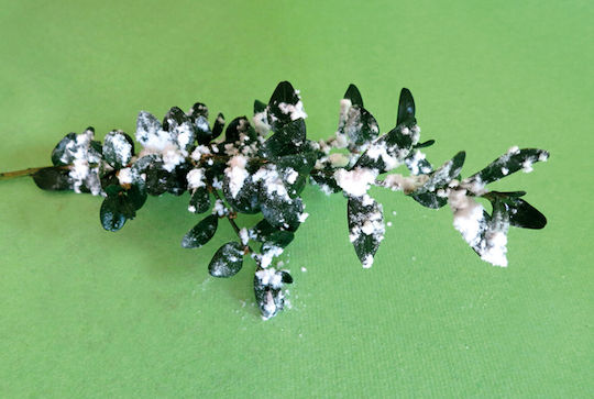 Τεχνιτές Νιφάδες Deco Snow Sticky 50gr