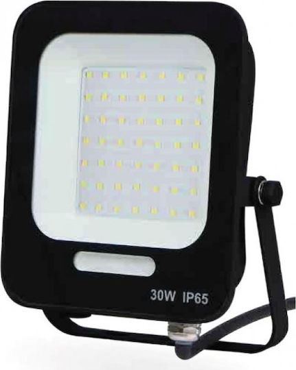 Lucas Στεγανός Προβολέας LED 30W Ψυχρό Λευκό 6400K IP66