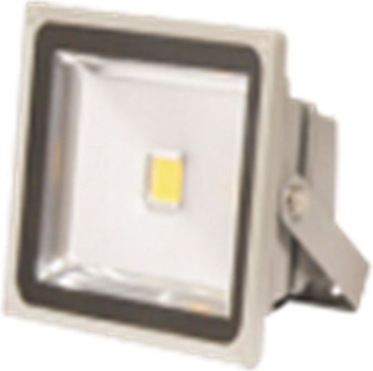 Tele Αδιάβροχος LED Προβολέας 30W Студено бяло 6000К IP65