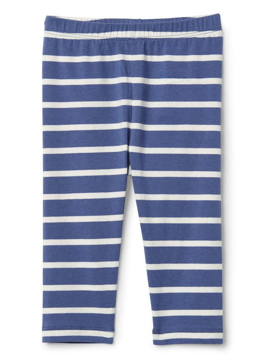 GAP