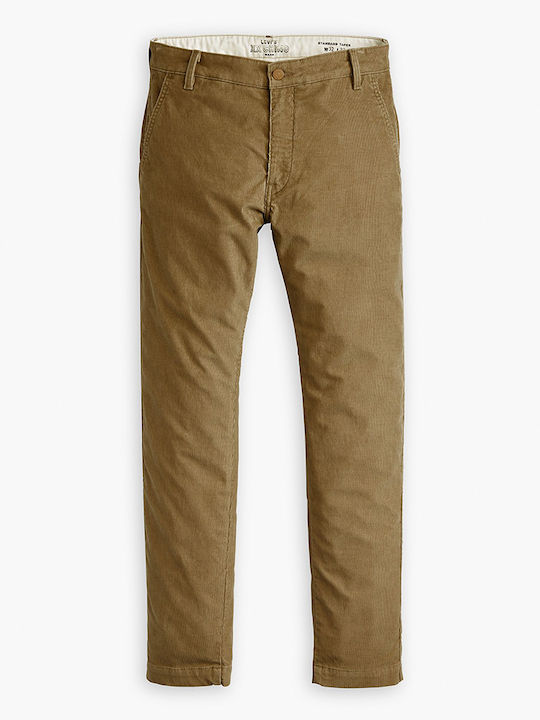 Xx Hose Chino Camel