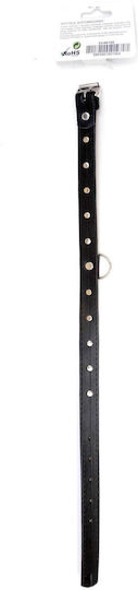 Fetish Addict Halsband in Schwarz Farbe