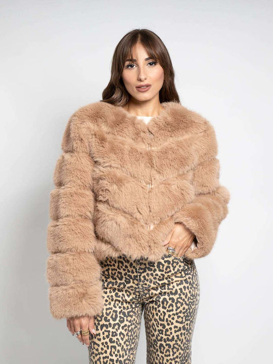 Fashioncore Fashioncore