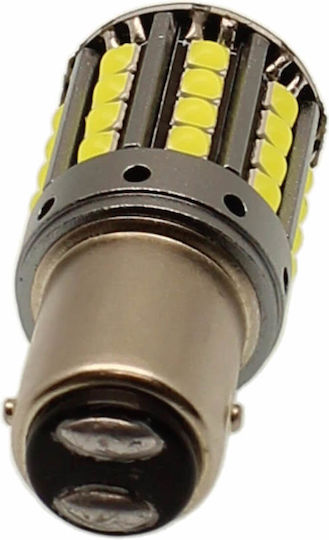Car Lamp Canbus LED 6000K Cold White 12-24V 19W
