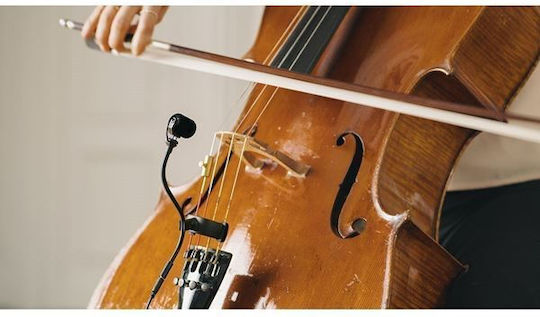 Neumann MCM 114 Set Cello Σετ Πυκνωτικό Μικρόφωνο Gooseneck