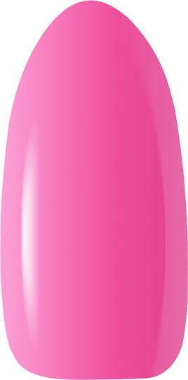 Activeshop Semi-Permanent Nail Polish R06 5gr 1pcs