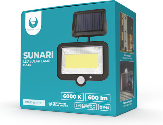 Forever Light Waterproof Solar LED Flood Light 8W Cold White 6000K with Motion Sensor IP65