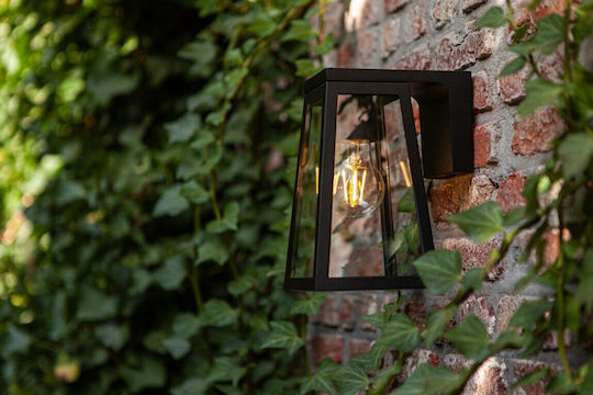 Lutec Wall Mounted Solar Light 2W 200lm with Warm White Light 2700K IP44 14cmx16.4cmx20.7cmcm