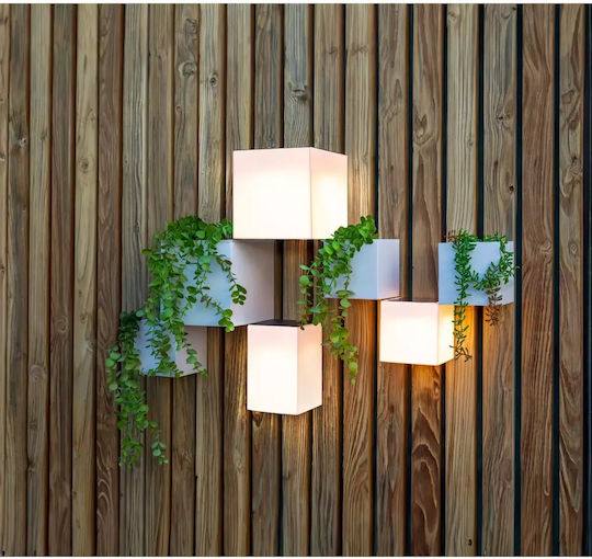 NewGarden Wall Mounted Solar Light with Natural White Light 4000K IP65 12cmx12cmx12cmcm