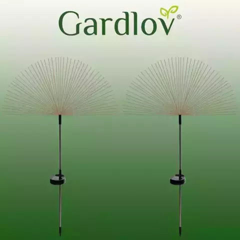 Gardlov Set of 2 Stake Solar Lights with Cold White Light IP65
