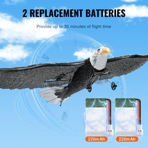 Vevor Remote Controlled Airplane