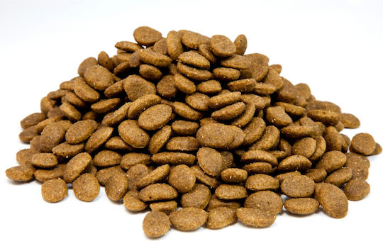 Laky Mast Dog Adult 20kg Dry Food for Adult Dogs