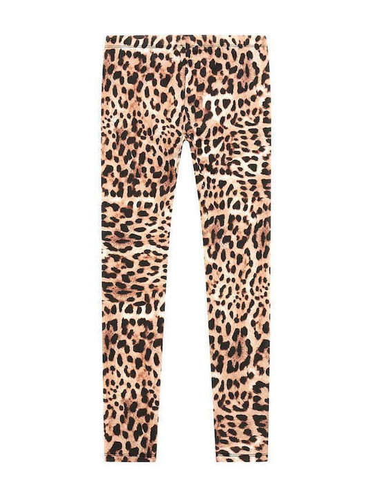 Guess Guess