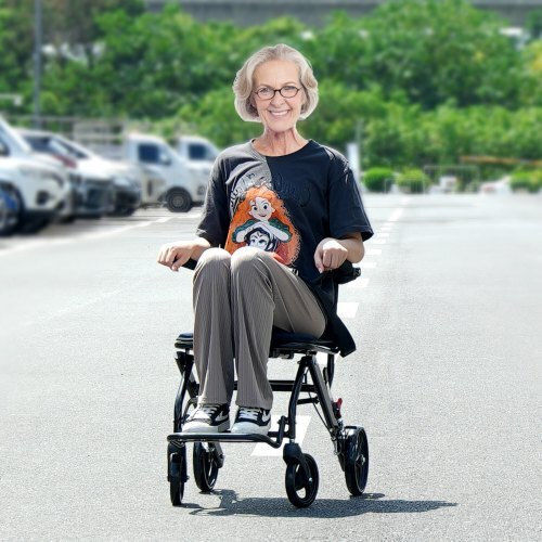 Vevor Wheelchair 15.75" Folding 40cm FWYSLYLHJ157O4N02V0 Black