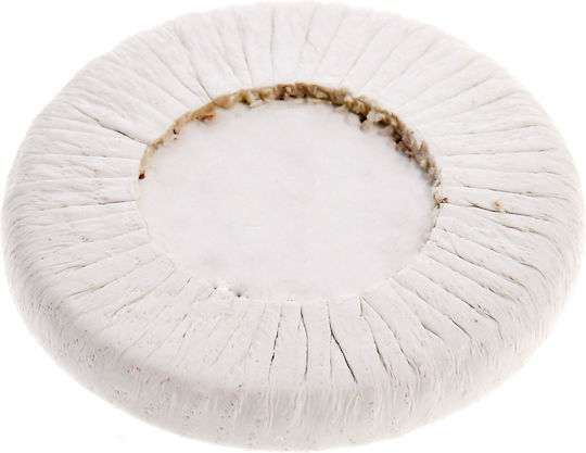 Rigotti No Pads No 17