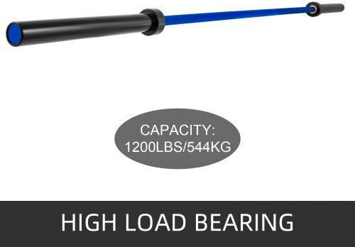 Μπάρα Βαρών Πάγκος Άρσης Βαρών Σκουώτ Glg2m15kgblue0001v0