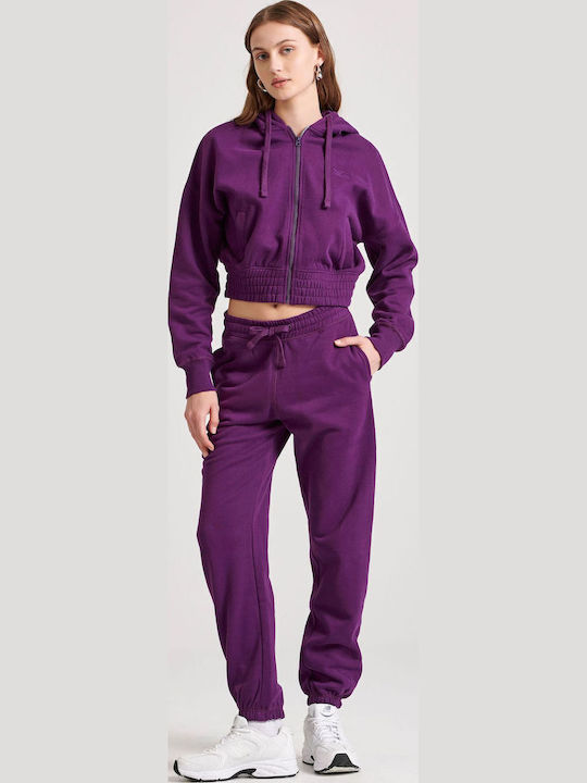 Sweatpants Jogger Purple