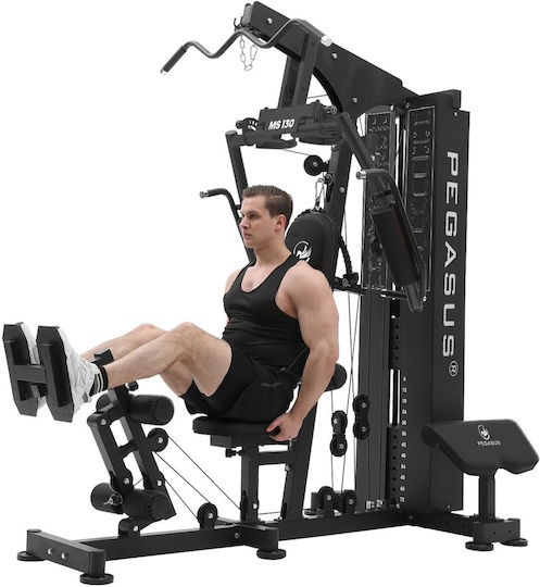 Pegasus Biceps/Triceps Machine with Weights 73kg