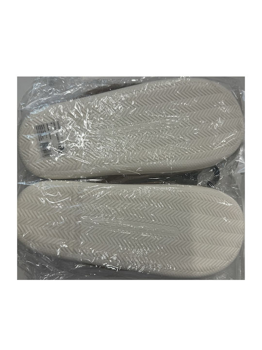 TnS