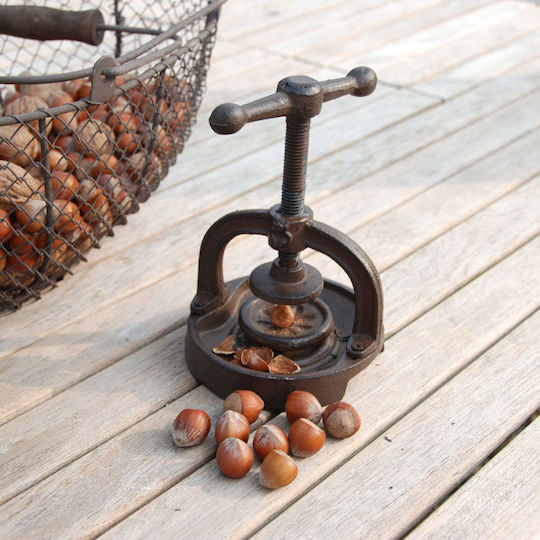 Metallic Nutcracker