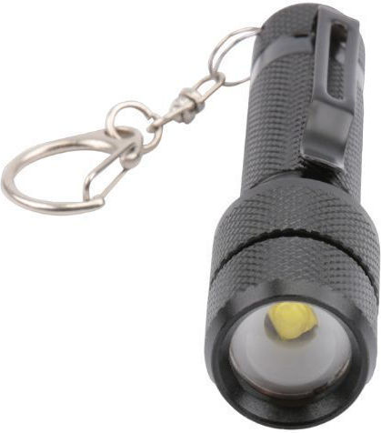 Flashlight LED IP44 with Maximum Brightness 100lm Tlg 101