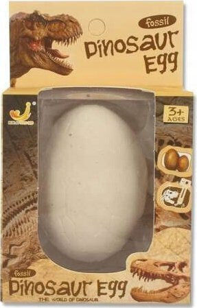 Educational Game Dinosaur Excavation