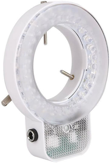 Kaisi LED White