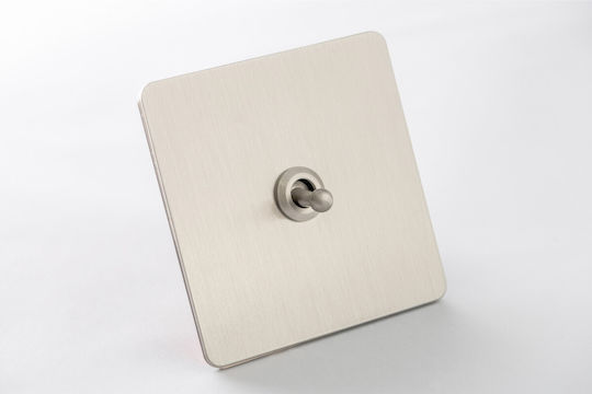 Silver Essence Metallic Switch Vichema 1 Gang 2 Way 10a Matte Silver