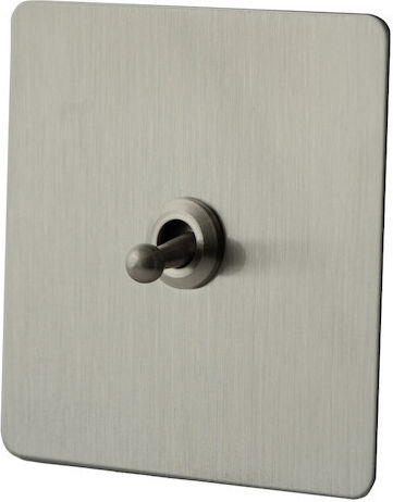 Silver Essence Metallic Switch Vichema 1 Gang 2 Way 10a Matte Silver