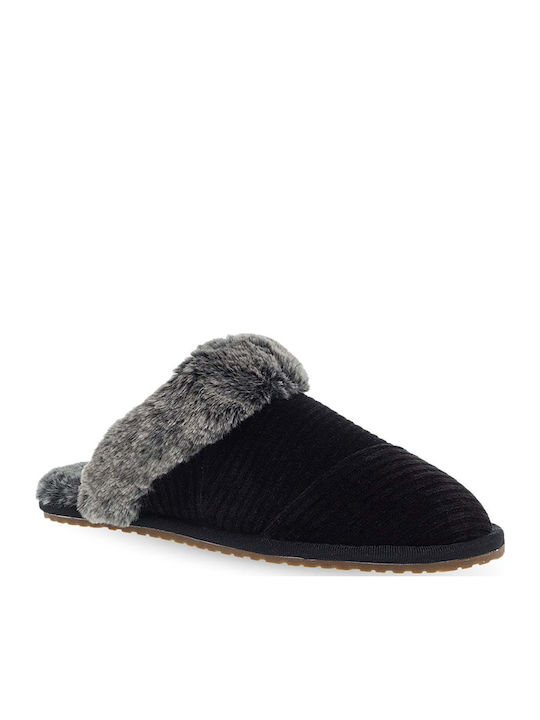 Toms