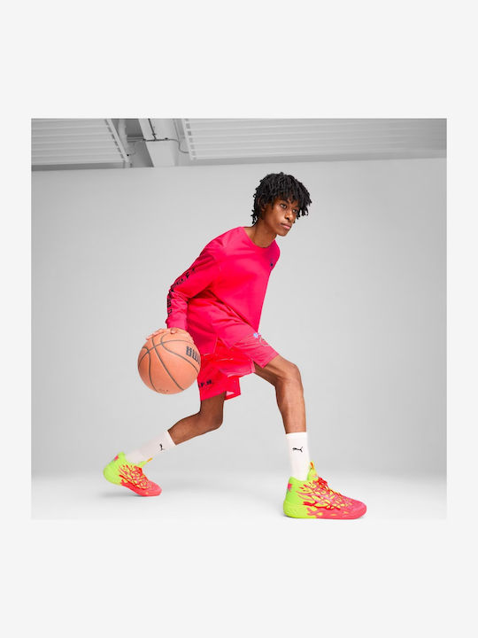 Niedrig Basketballschuhe Mehrfarbig