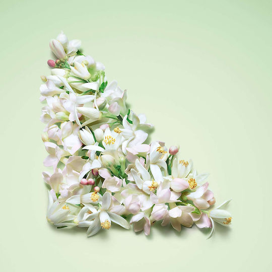 Paradoxe Virtual Flower Eau de Parfum Refill 100ml