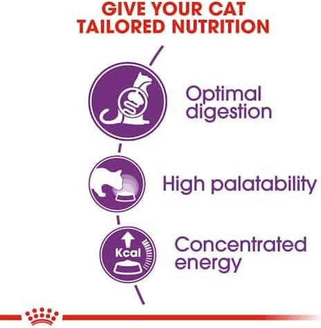 Royal Canin Regular Sensible 33 Dry Food Gluten-Free for Adult Cats with Sensitive Gastrointestinal with Poultry 10kg