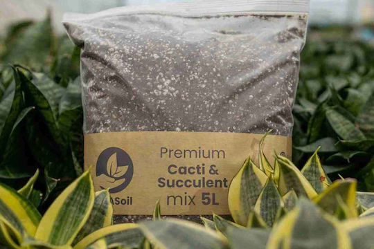 Planting Substrate 5lt CactiSucculentMix5lt