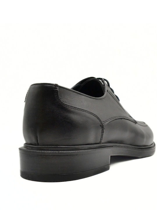 Hawkins Premium