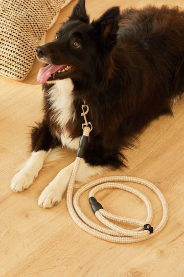 Calma House Dog Leash/Lead Strap in Silver color