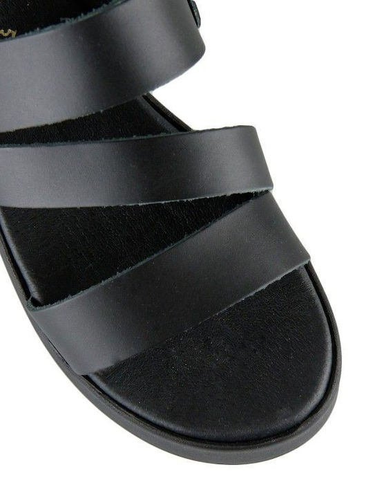 Silia D