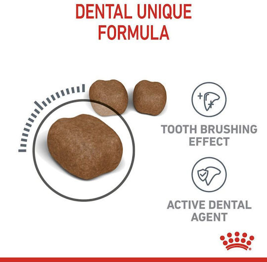 Royal Canin Oral Care Ξηρά Τροφή για Ενήλικες Στειρωμένες Γάτες με Πουλερικά / Ρύζι 1.5kg