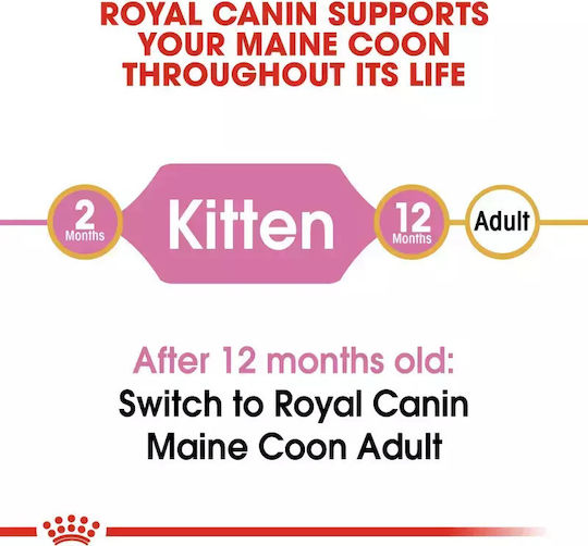 Royal Canin Maine Coon Kitten Ξηρά Τροφή χωρίς Γλουτένη για Ανήλικες Γάτες με Πουλερικά / Ρύζι 2kg