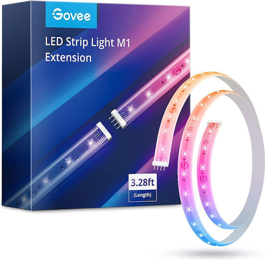 Govee LED Strip 1m with Power Supply