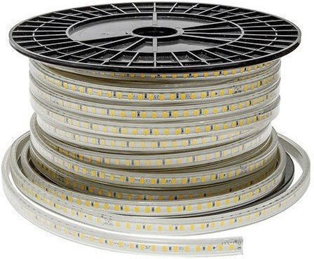 LED Strip 220V Cold White Light 1m Type SMD2835