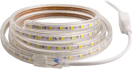 Aca Waterproof LED Strip 220V Warm White Light 1m Type SMD5050