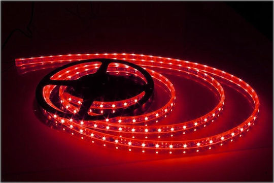 LED Strip 12V Red Light 5m Type SMD3528