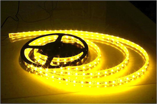 Waterproof LED Strip 12V Yellow Light 5m Type SMD5050