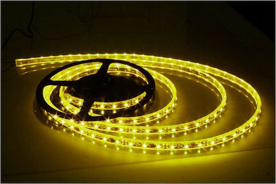 Waterproof LED Strip 12V Yellow Light 5m Type SMD3528